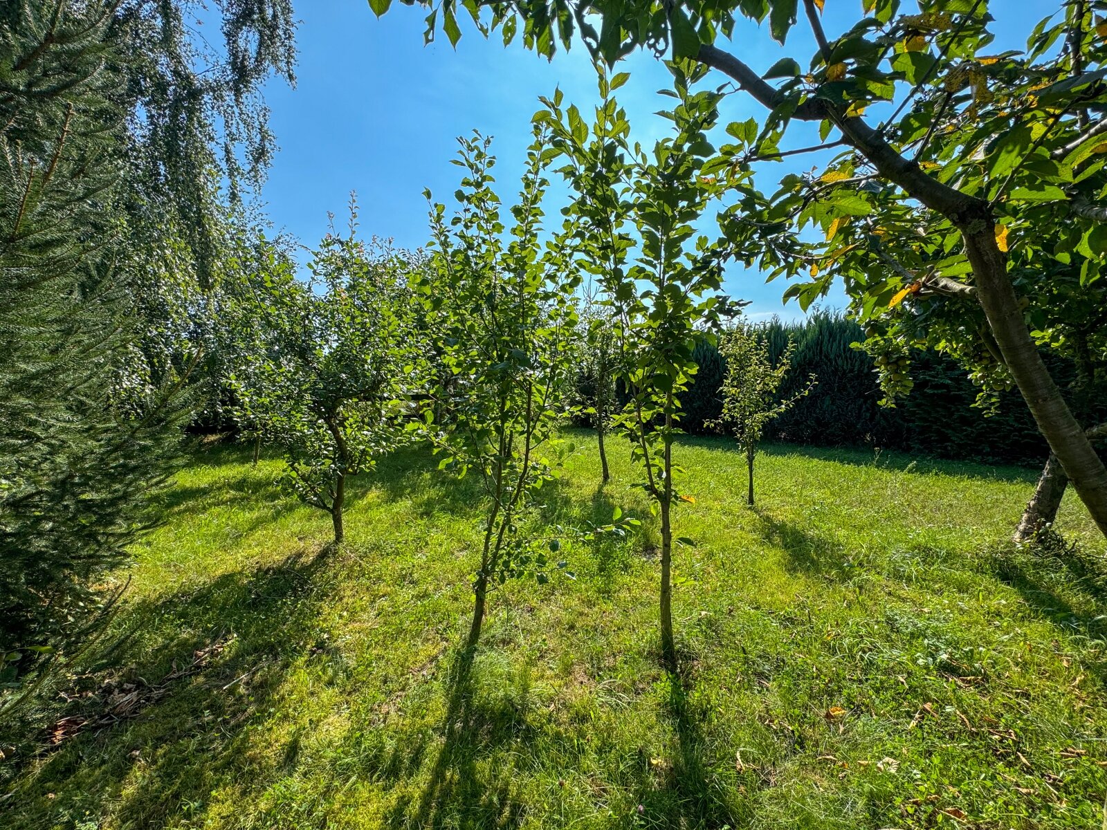 Geräumige Scheune mit Pferdeboxen und ausgebautem Bereich inkl. Bad, Küche und Zimmern